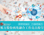 探索有效途徑，打造新型能力——棟方股份兩化融合工作亮點紛呈